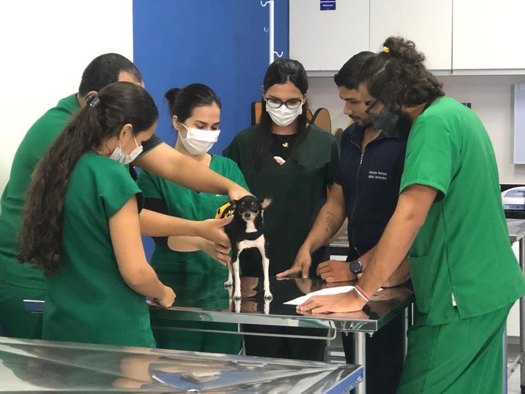 Prefeitura de Natal anuncia primeiro hospital público veterinário da cidade