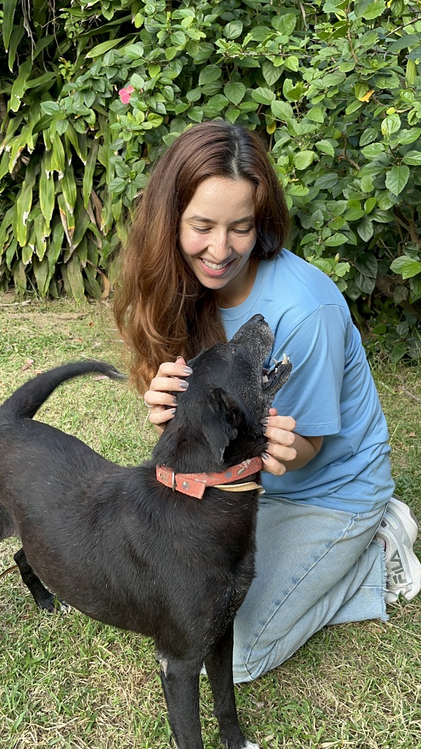 Campanha incentiva adoção de cães adultos em Natal