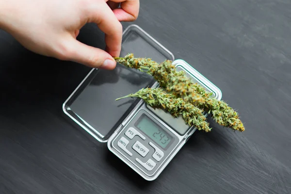 Estado no Sul vai na contramão do STF e multará quem tiver com maconha