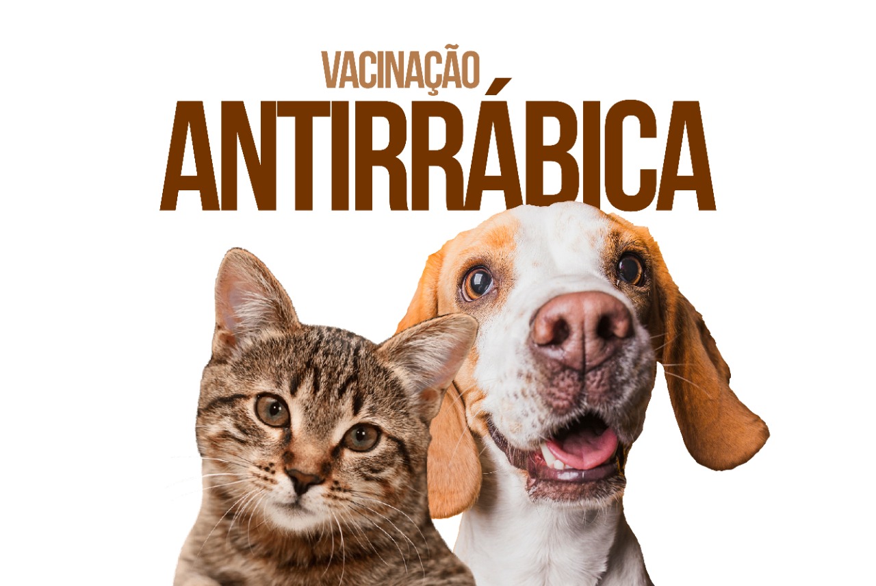 Sesap reforça importância da Campanha de Vacinação Antirrábica no RN