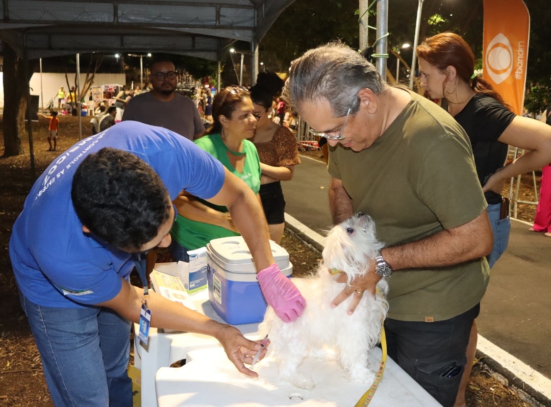 Campanha Antirrábica 2024 em Natal: confira os locais de vacinação deste sábado
