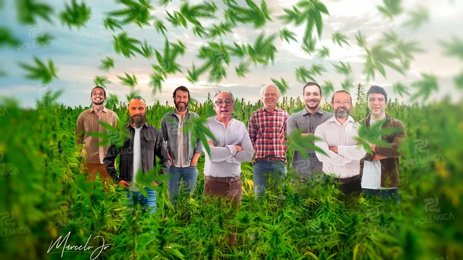 Candidatos a vereadores pró-maconha ganham destaque com campanhas inusitadas pelo Brasil