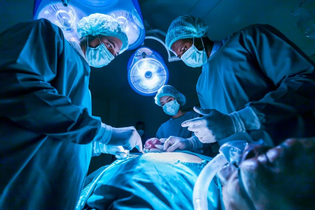 Órgãos para transplantes passam por testes no RN