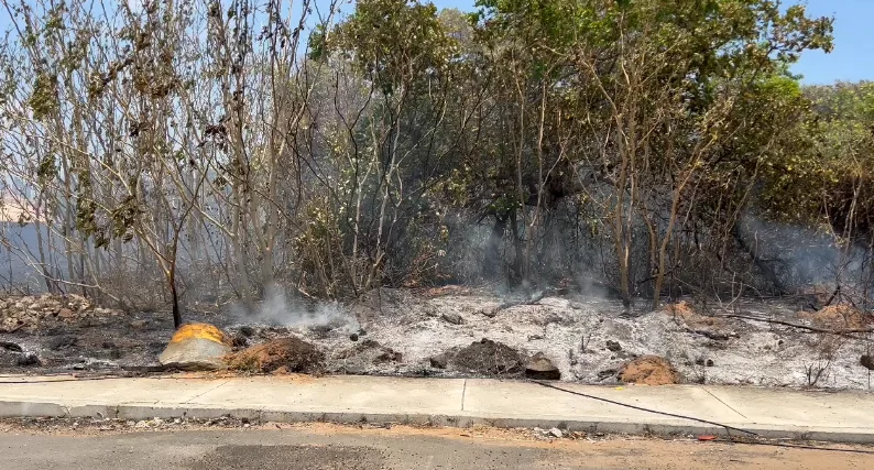 Incêndio atinge vegetação próxima ao parque da cidade