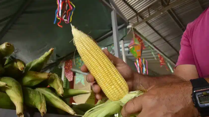 Governo do RN lança 2° Feira de Agricultura familiar e edital para construção de cisternas