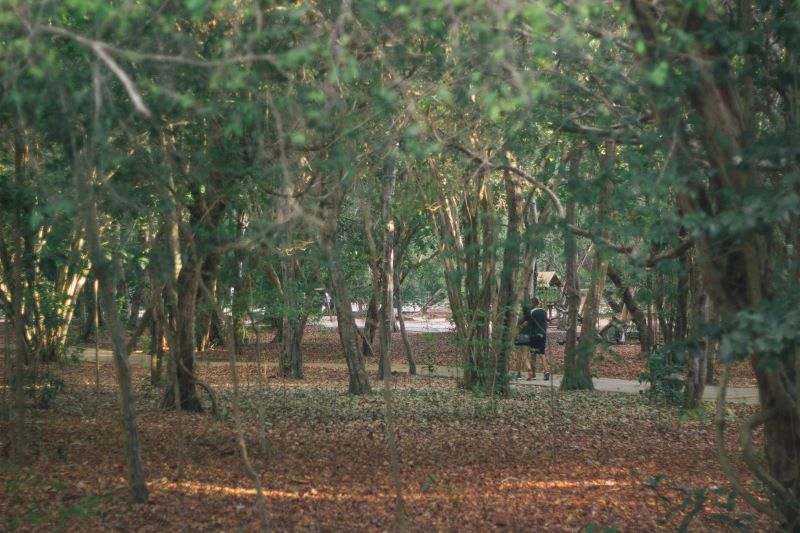 Parque das Dunas e Cajueiro de Pirangi funcionam normalmente no feriado