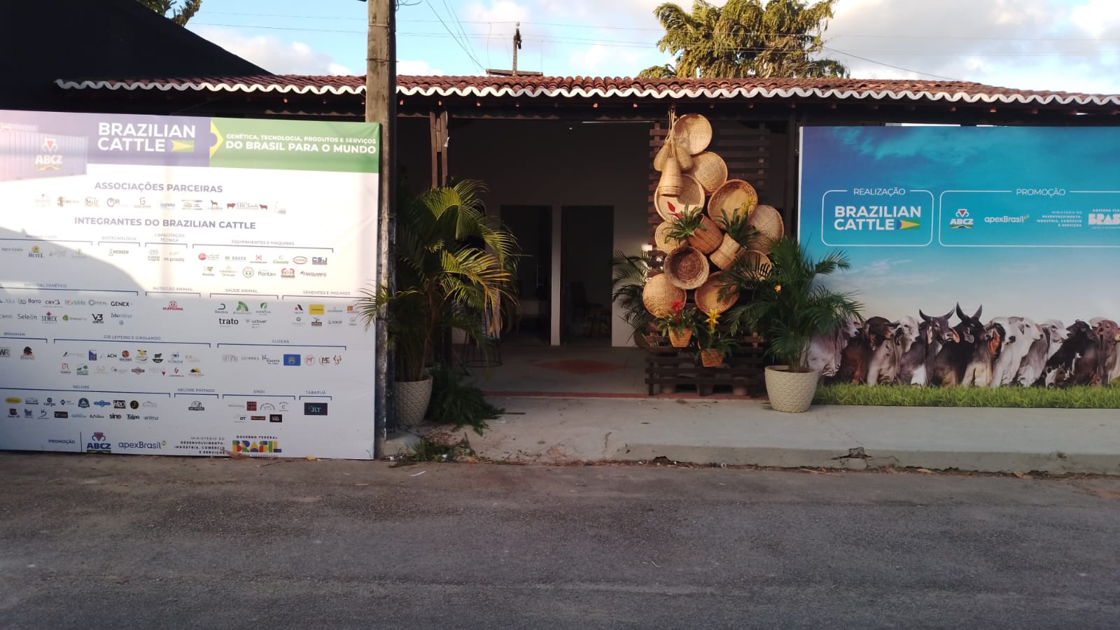 Festa do Boi: Projeto Brazilian Cattle lança oportunidades de exportação para empresas