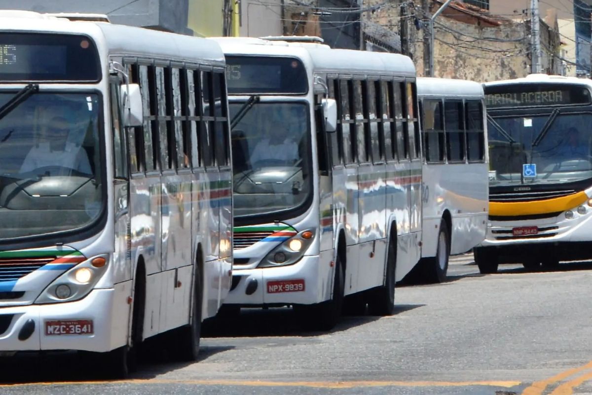 Vereadores analisam projeto de subsídio para viabilizar futura licitação do transporte público em Natal