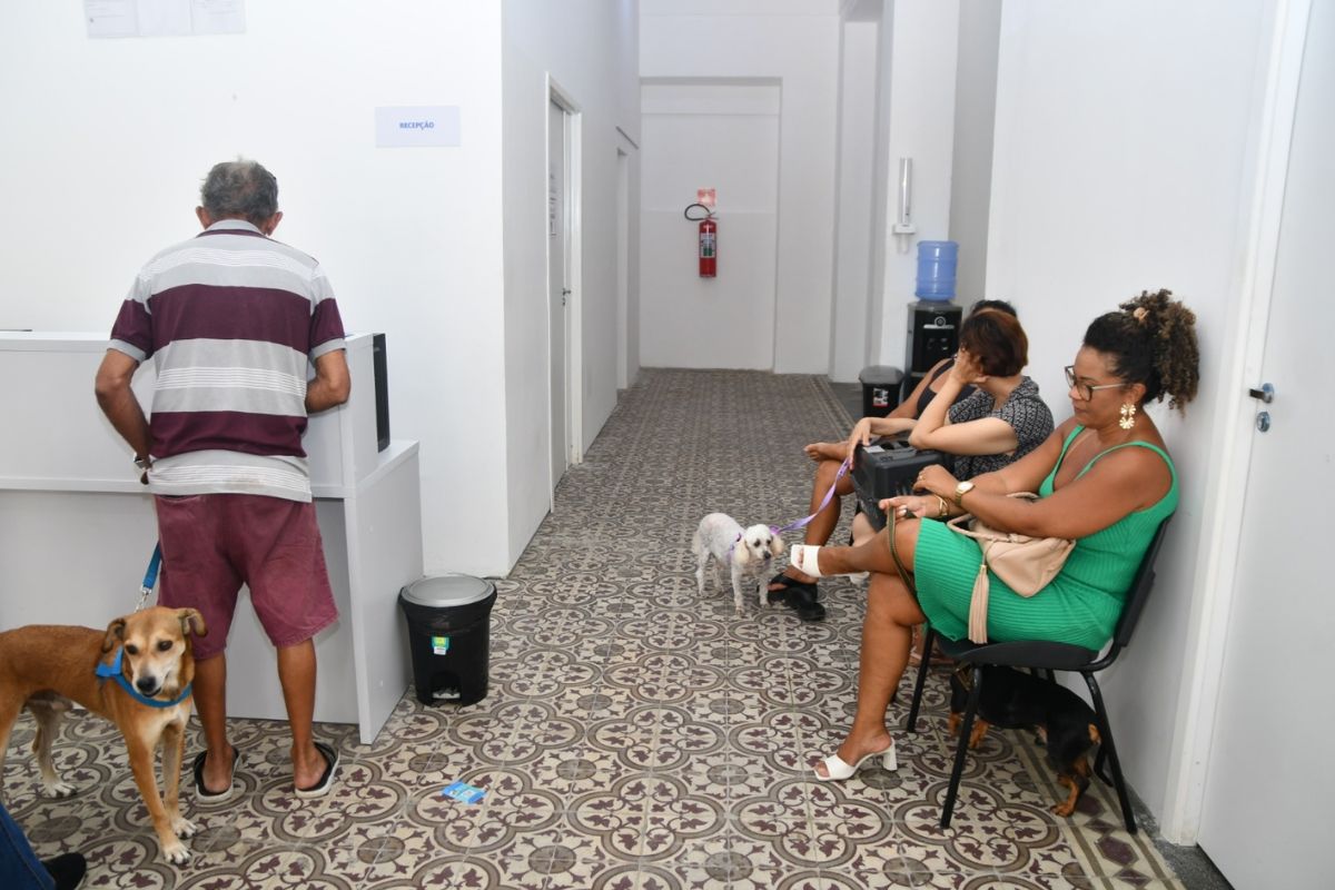 Hospital Veterinário Público de Natal realizou mais de 600 consultas em dois meses
