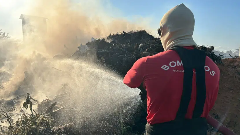 Bombeiros do RN atenderam mais de 1.800 ocorrências de incêndios em vegetação em 2024