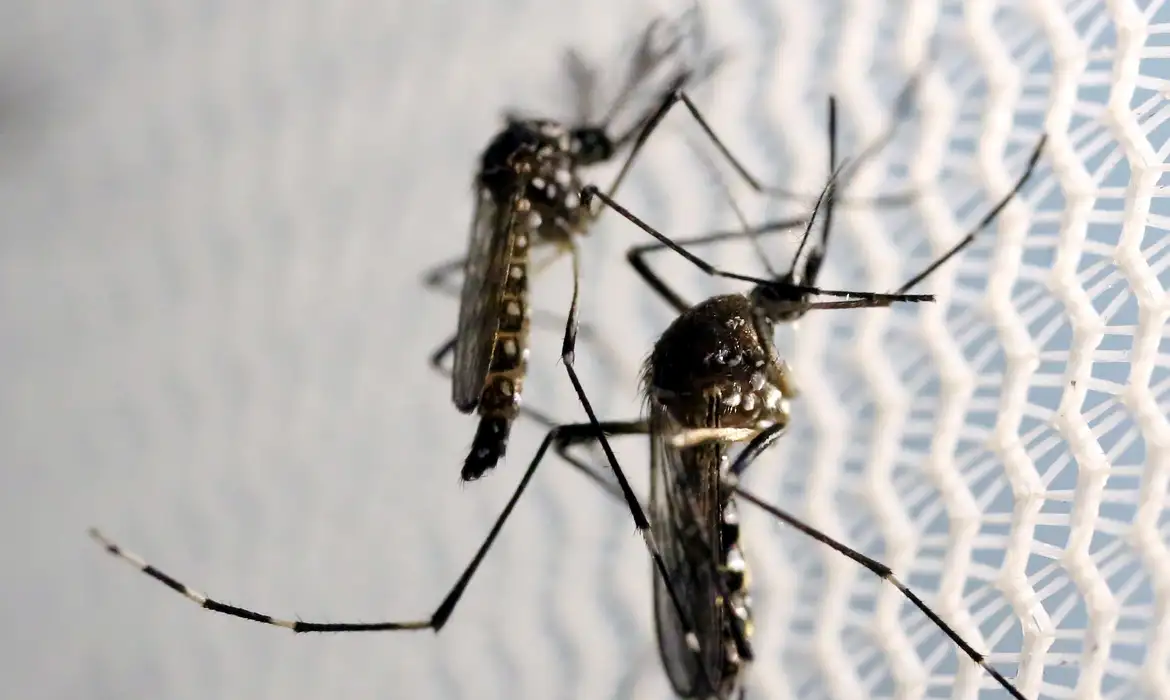 RN registrou 49 casos prováveis de dengue na primeira semana epidemiológica de 2025