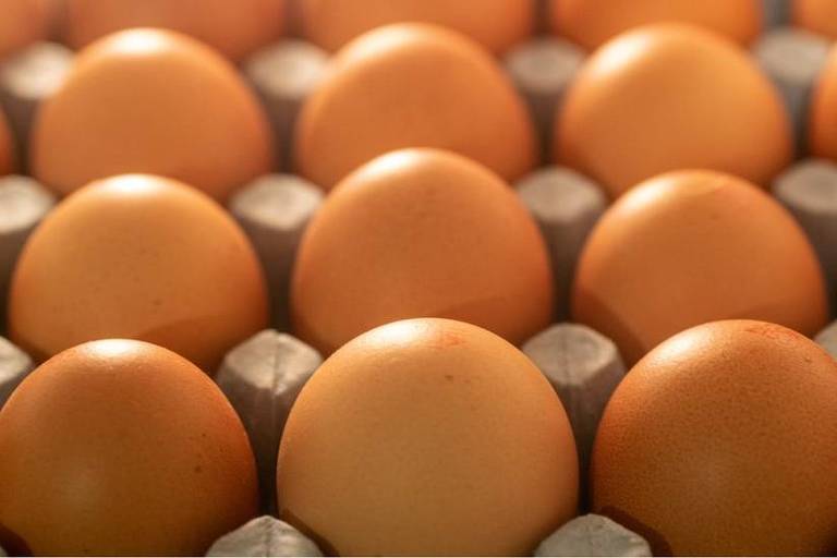 Preço da bandeja de ovos dispara, Procon Natal está avaliando o aumento