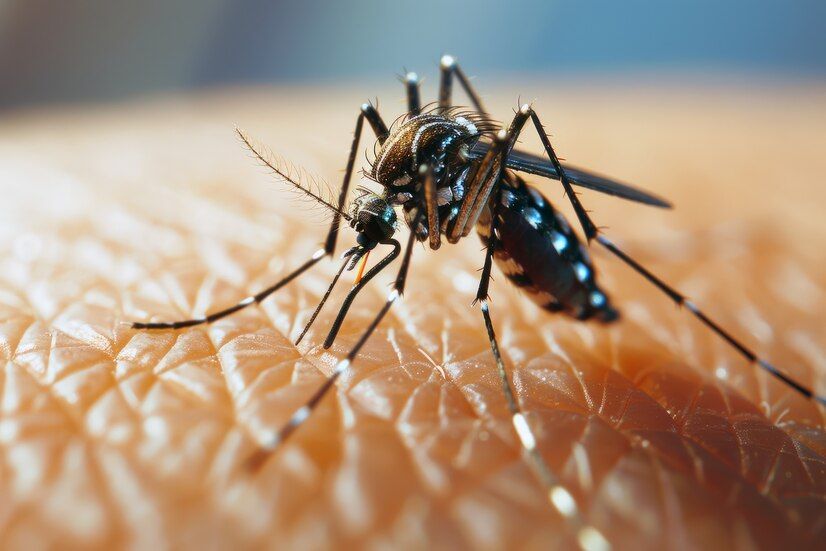 Casos de dengue caem 9,6% no RN em 2025