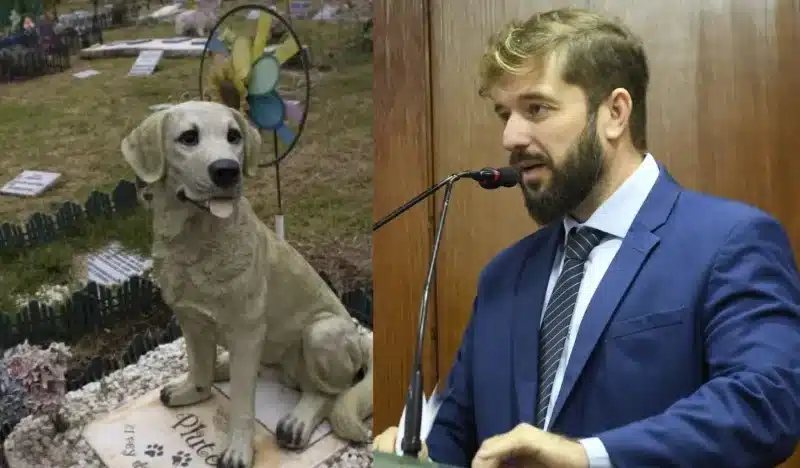 Projeto de Lei prevê criação de cemitérios públicos para animais em João Pessoa