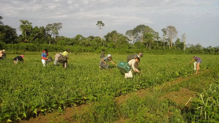 Governo Fátima atrasa repasse do Garantia Safra e afeta 30 mil agricultores familiares