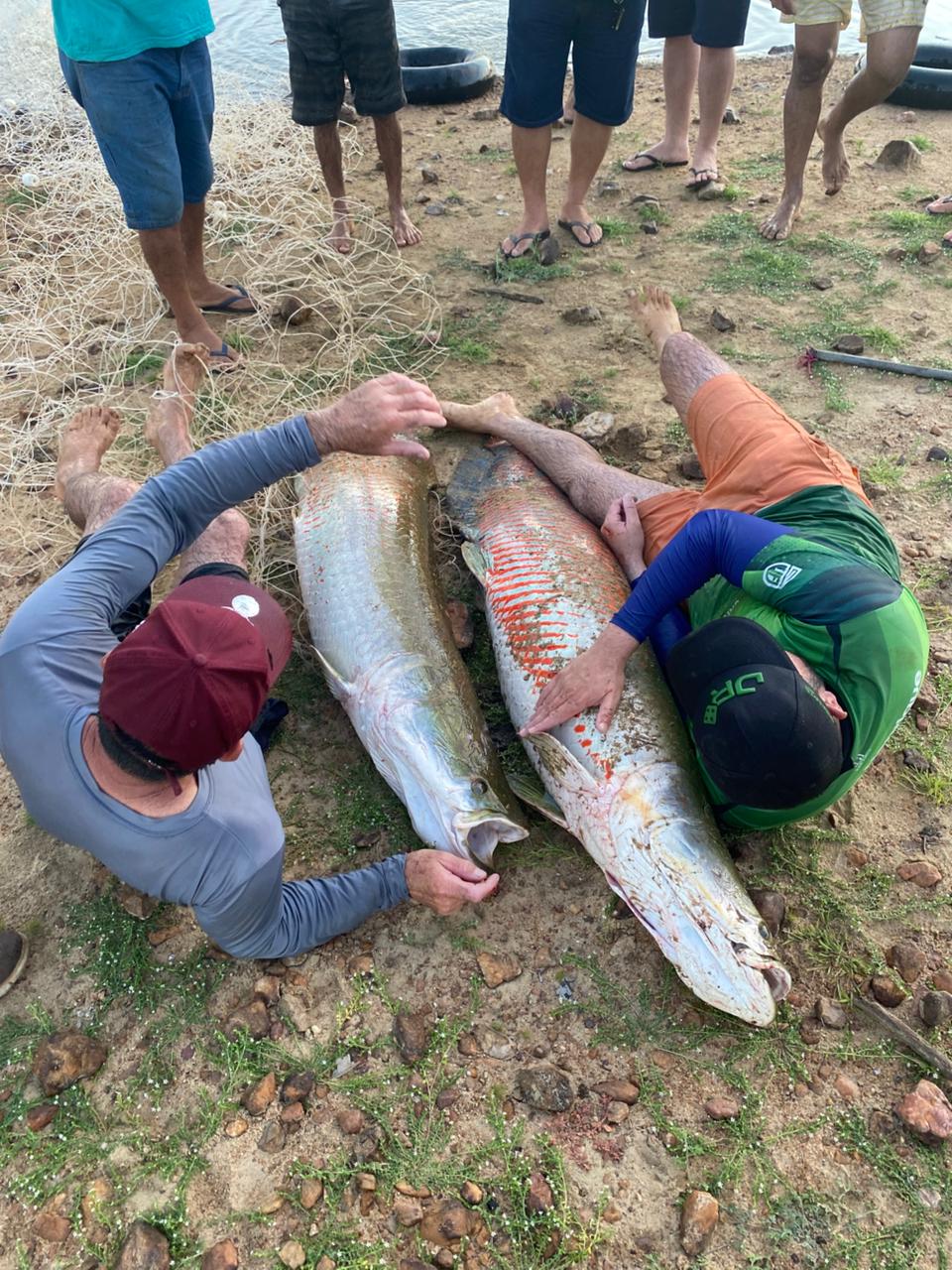 Pescaria de respeito: Moradores fisgam peixes gigantes em açude no Alto Oeste potiguar