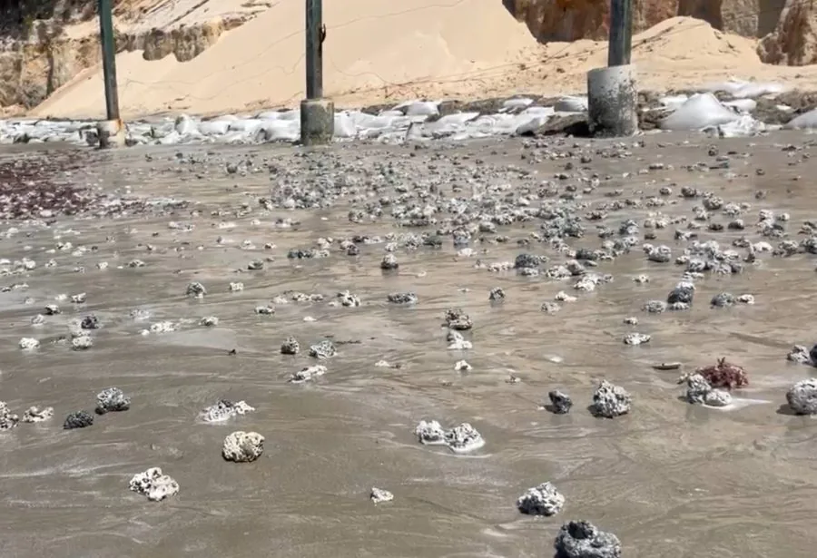 Prefeitura busca empresa para remoção de rodolitos em Ponta Negra; prazo para propostas termina nesta terça-feira