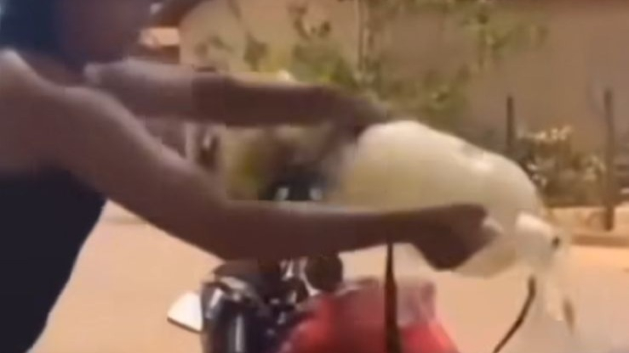 TRAIÇÃO: Mulher destrói moto do marido após descobrir que parcelas estavam sendo pagas por gay