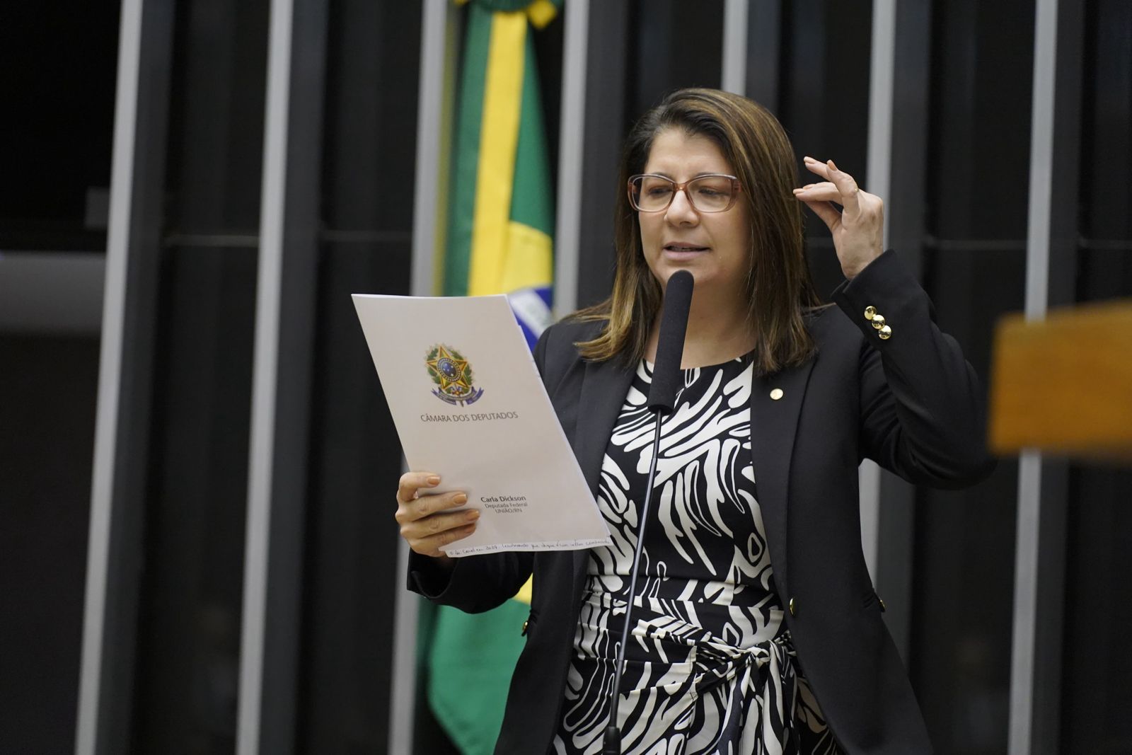 Dos deputados federais do RN, apenas Carla Dickson é favorável à anistia a Bolsonaro