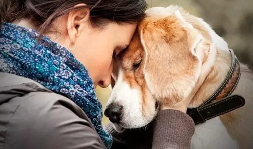 RN sanciona lei que garante acesso com animal de apoio emocional a espaços públicos e privados