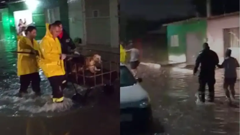Bombeiros do RN resgatam duas pessoas com deficiência visual e dois animais em alagamento na Zona Norte de Natal