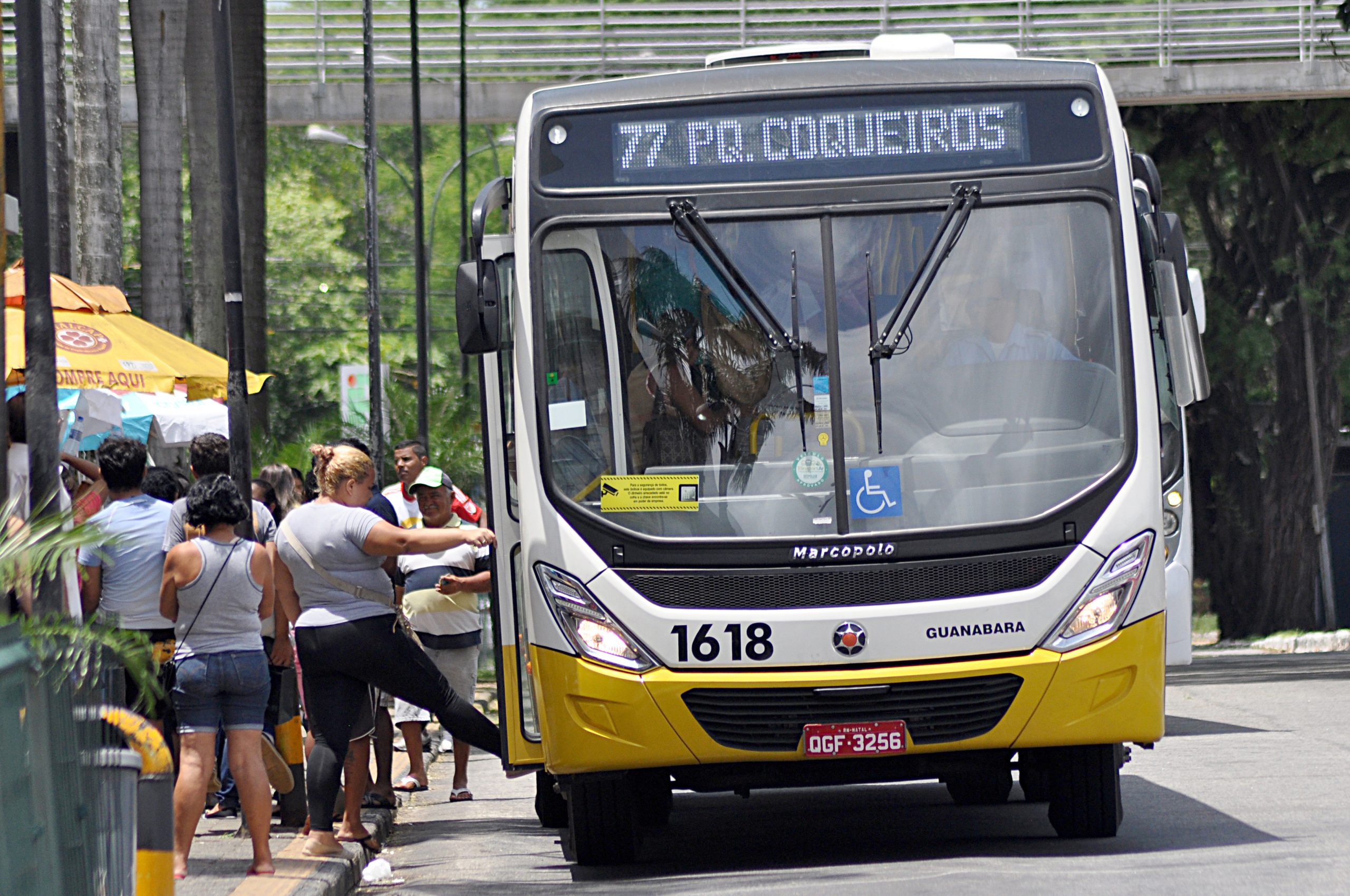 Licitação dos transportes em Natal pode ter economia de R$ 281,6 milhões, aponta TCE-RN