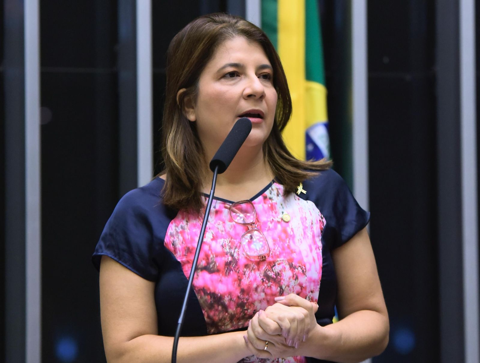 Deputada Federal Carla Dickson assume coordenação do Observatório Nacional da Mulher na Política