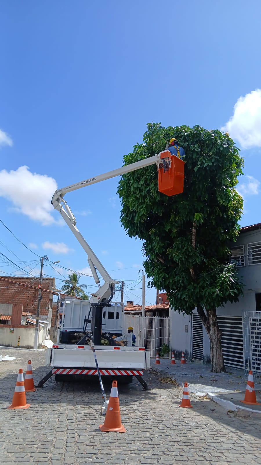Empresa do RN é referência no serviço de poda de árvores do Nordeste