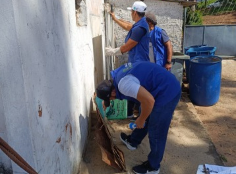 Secretaria de Saúde de Natal alerta para cuidados com escorpiões após acidente com criança