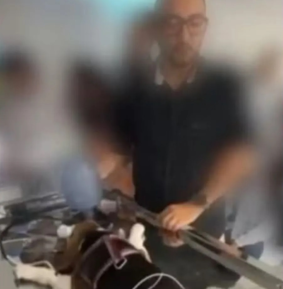 Veterinário divulga nota de esclarecimento e se defende após polêmica sobre uso de cachorro em minicurso da UNP