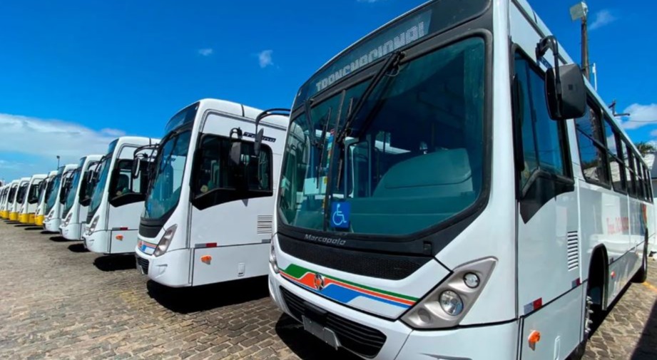 Licitação deverá prever 31 novas linhas de ônibus e concessão de 15 anos, diz secretária da STTU