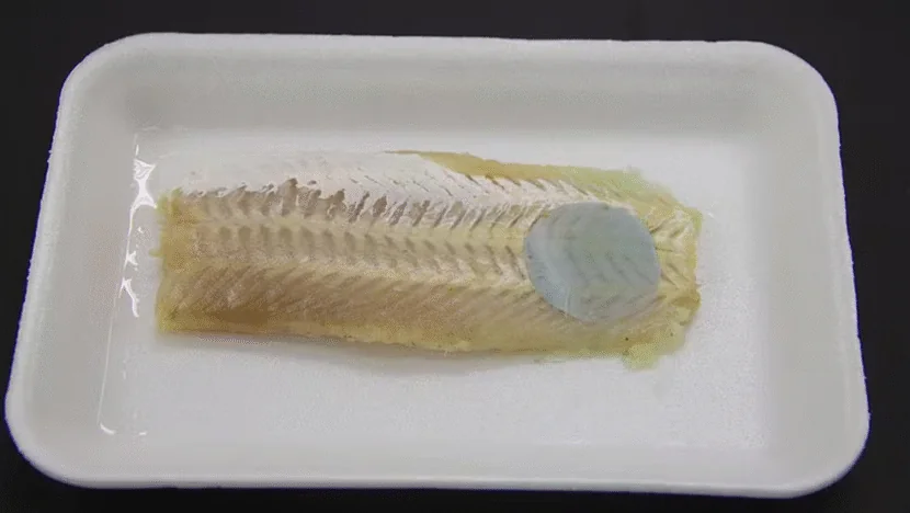Cientistas brasileiros desenvolvem embalagem que muda de cor ao detectar peixe estragado