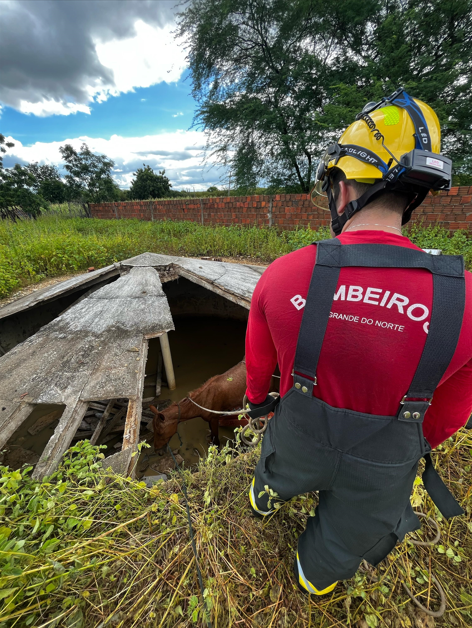 Operação delicada resgata duas éguas de cisterna na zona rural de Mossoró