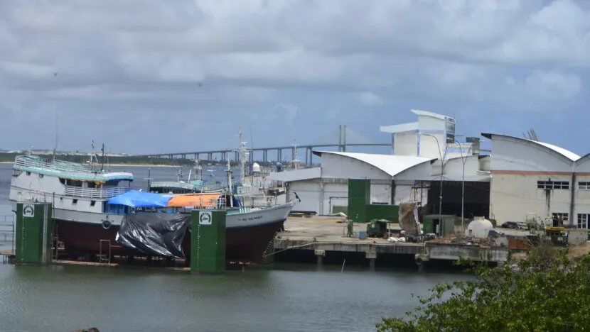 Chineses planejam assumir Terminal Pesqueiro de Natal e farão visita ao RN