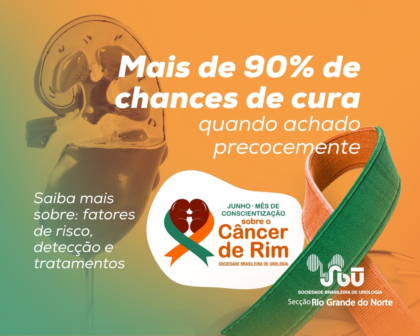 Sociedade Brasileira de Urologia do RN inicia campanha para alertar sobre o Câncer de Rim