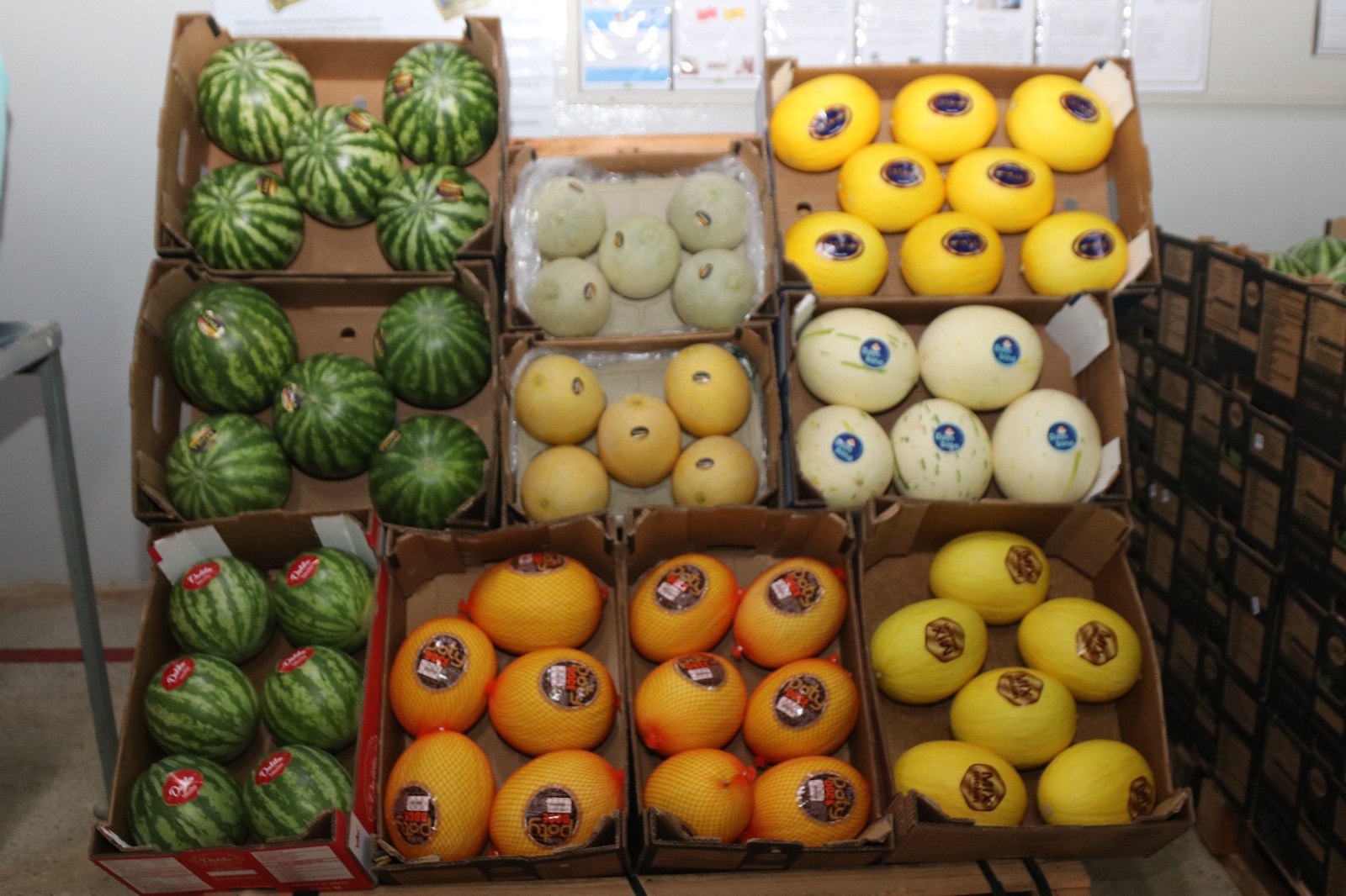 Frutas frescas no radar global: Expofruit sedia edição do programa Exporta Mais Brasil