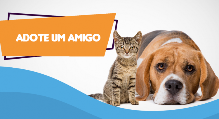 Bosque das Mangueiras vai sediar evento de adoção de pets no domingo (22)