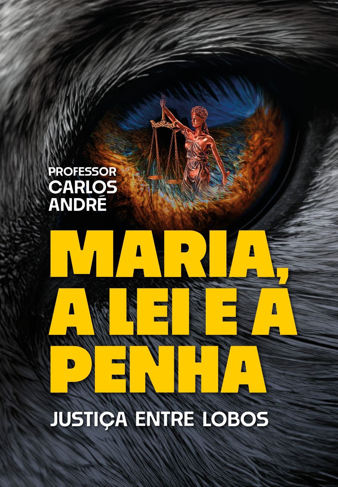 Carlos André lidera rankings da Amazon com nova obra que denuncia distorções na Lei Maria da Penha