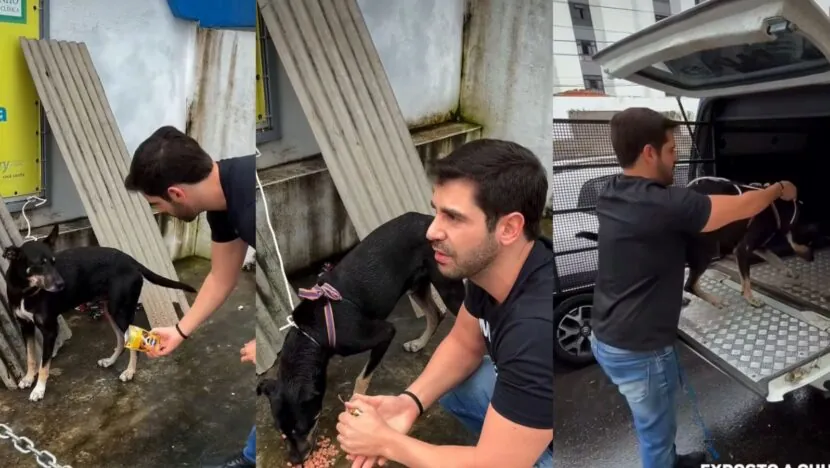 Vereador Robson resgata animais acorrentados em Natal e promete identificar responsável