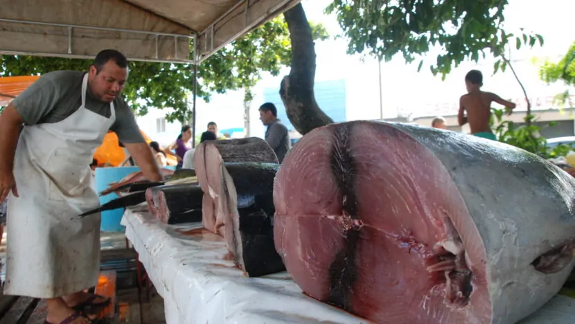 Setor da pesca no RN diz que, com tarifaço, embarcações não vão sair em agosto