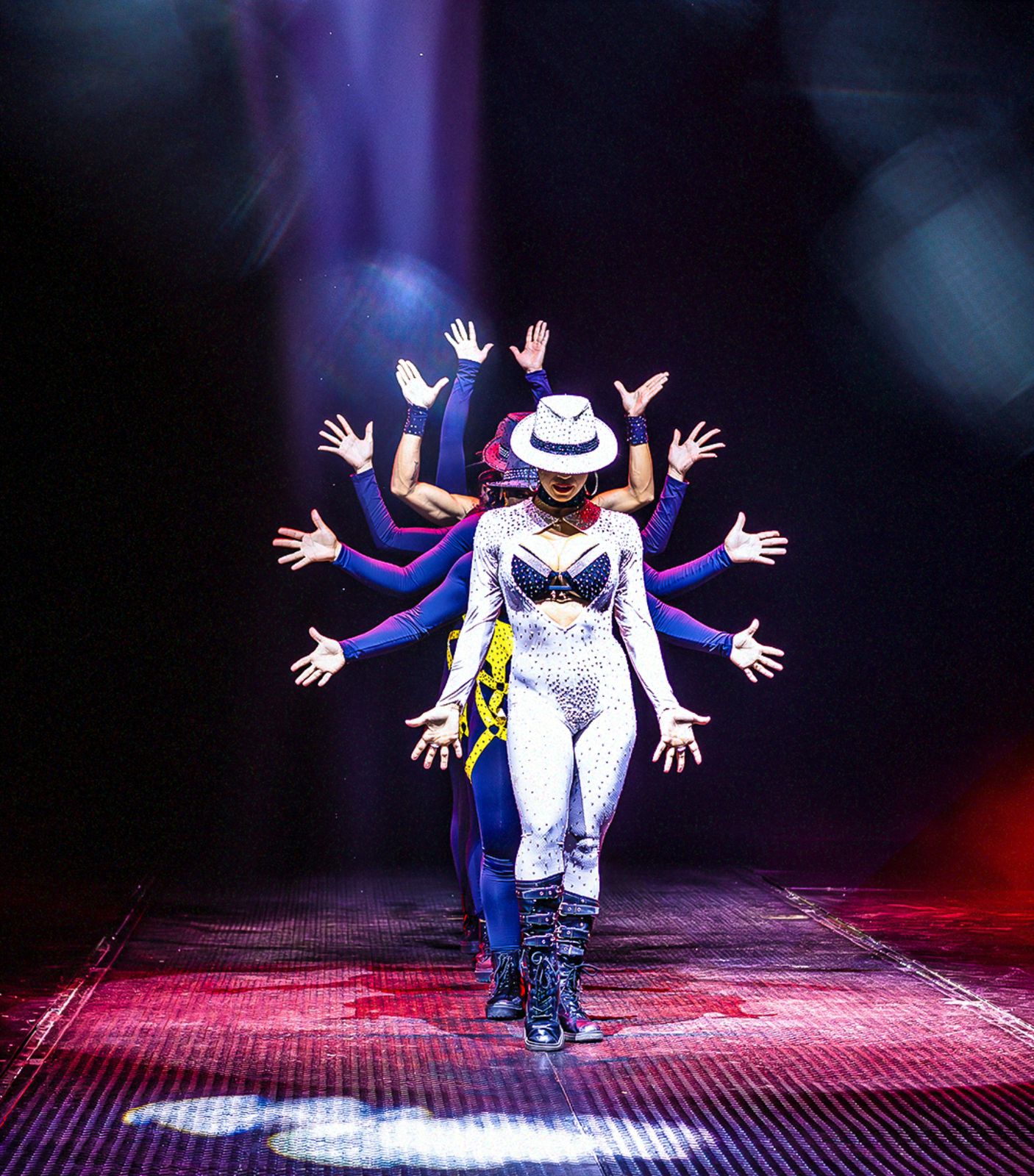 Após 20 anos, Internacional Circo Kroner retorna a Natal com espetáculo emocionante