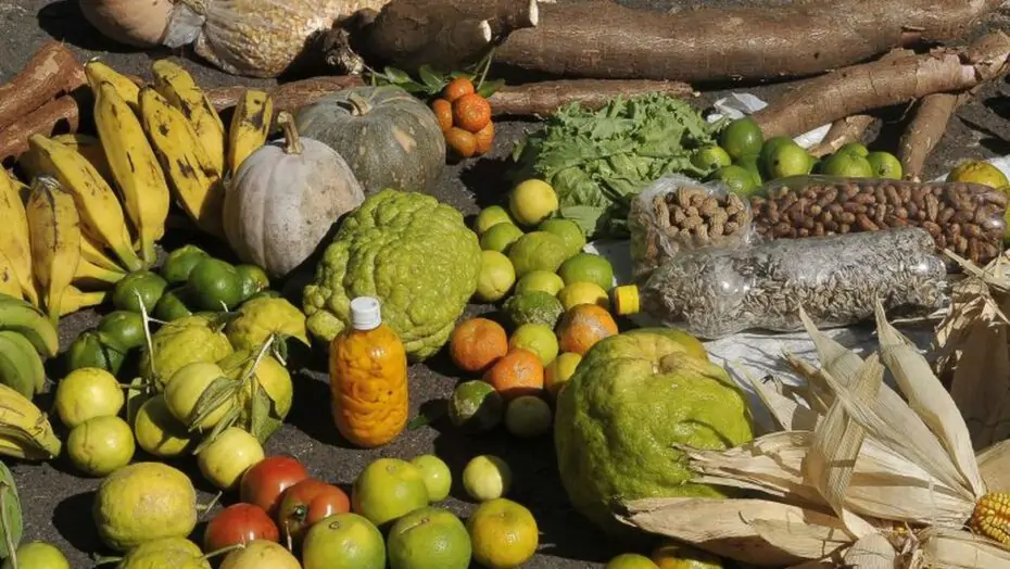 Governo destina R$ 505 milhões ao RN para fortalecer agricultura familiar