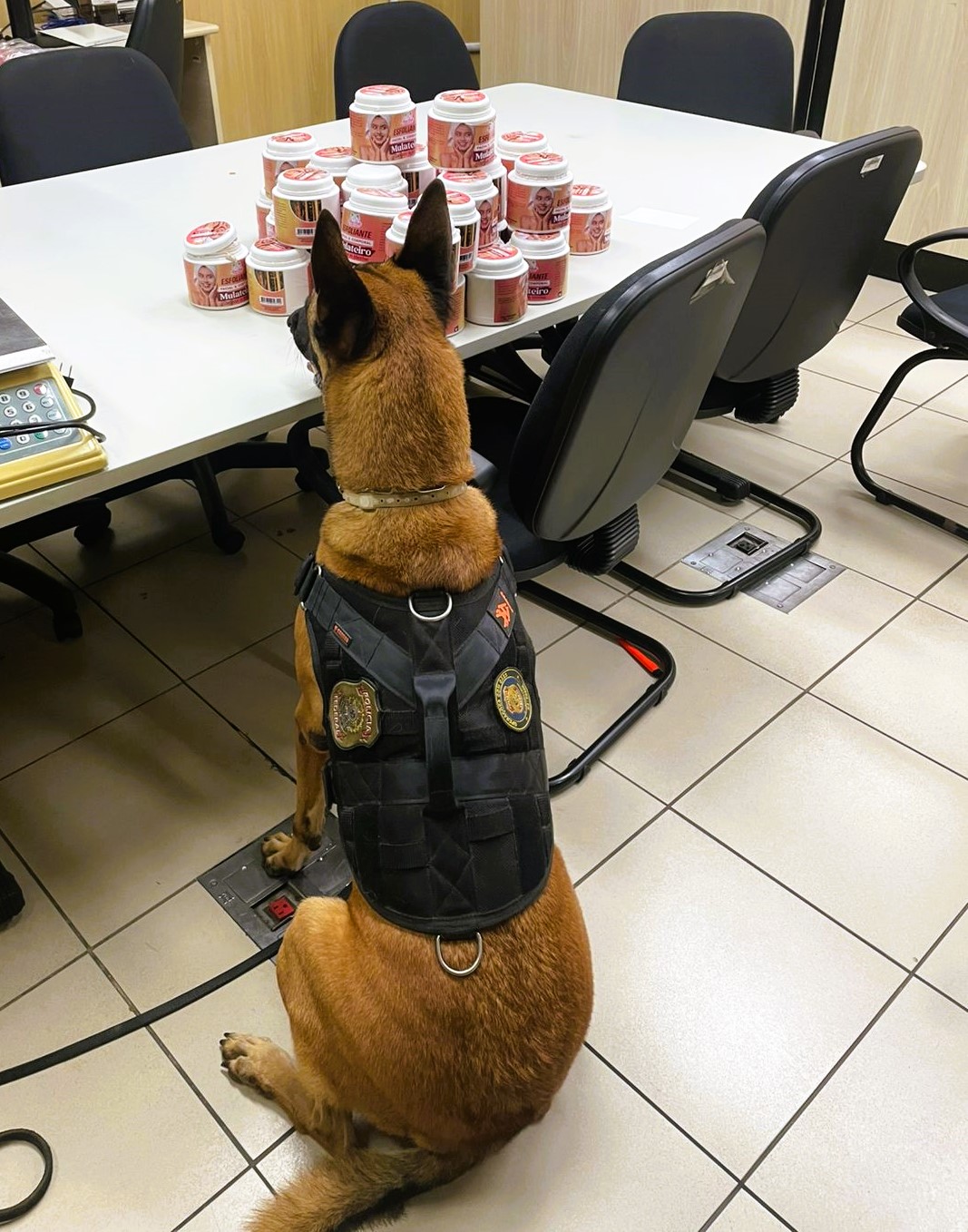 Polícia Federal apreende mais de 6 kg de skank e prende homem no Aeroporto de Natal
