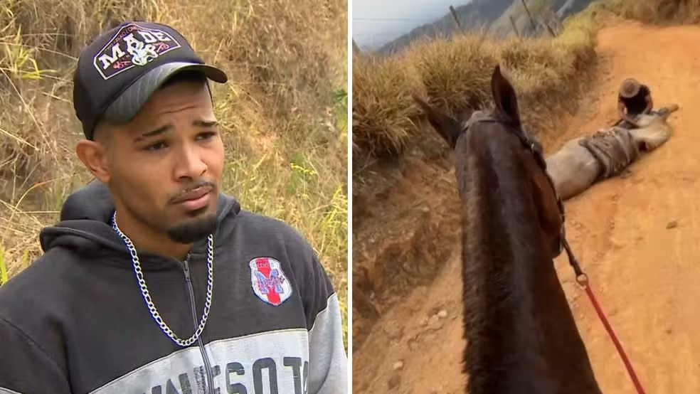 'Cortei por cortar', diz homem que alegou estar bêbado ao mutilar patas de cavalo
