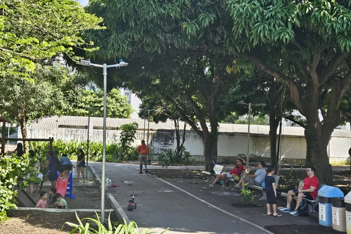 Projeto que cria Lei de Arborização Urbana e Preservação de Áreas Verdes em Natal avança na Câmara