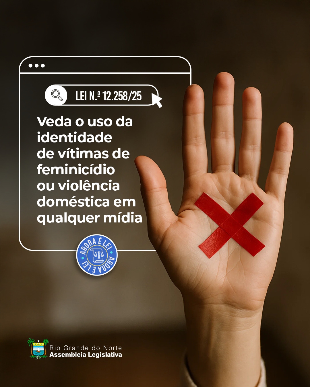 Nova lei do RN protege a memória de vítimas de feminicídio e violência doméstica