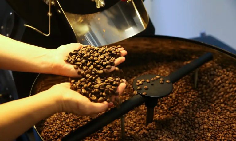 Preço do café cai pela primeira vez depois de 18 meses, diz IBGE