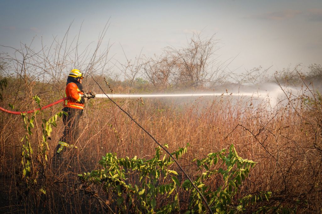 Corpo de Bombeiros registra aumento de 52% nos incêndios em vegetação no RN