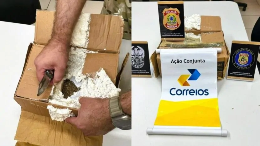 Com apoio de cão farejador, PF apreende em Natal droga enviada pelos Correios