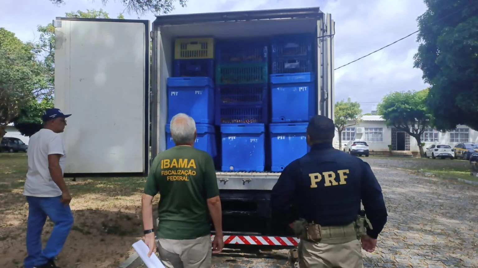 PRF e Ibama apreendem duas toneladas de lagosta em São José de Mipibu